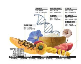 如果吃東西影響基因 人早長出牛角