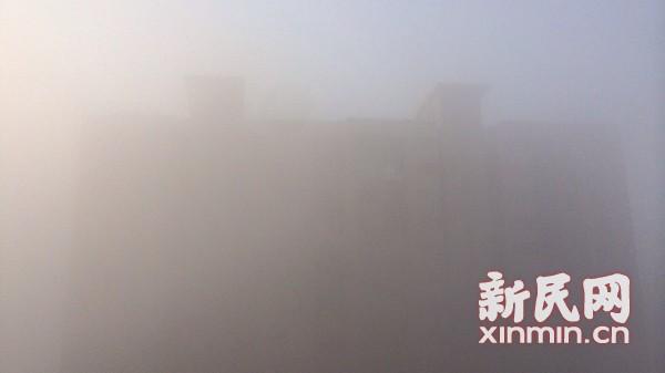 受大霧天氣影響 上海兩空港19出港航班取消(圖)