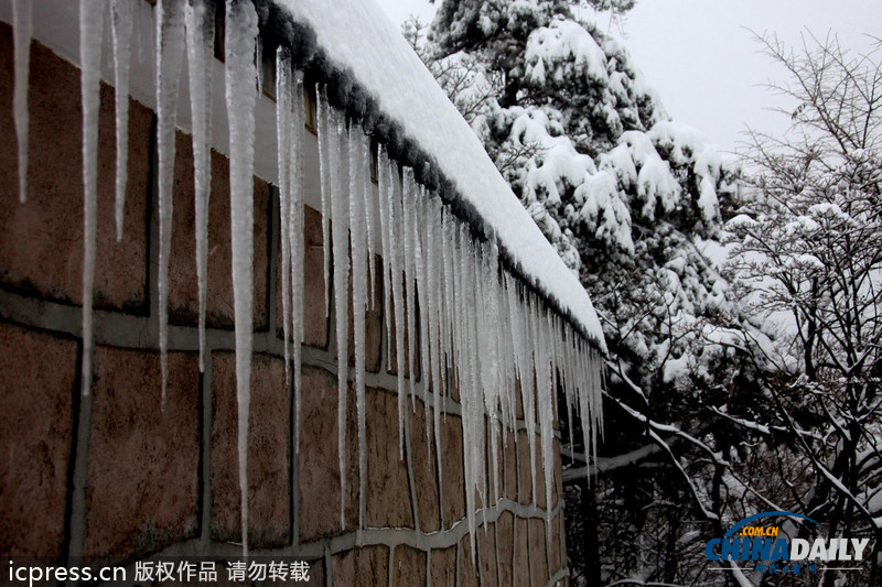 黃山暴雪 最大積雪深度超56厘米