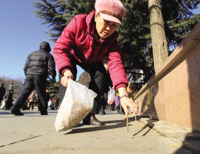 73歲“煙頭大姐”走紅網絡 不到1年撿3.1萬個煙頭