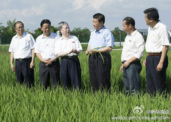 習近平：糧食安全要靠自己