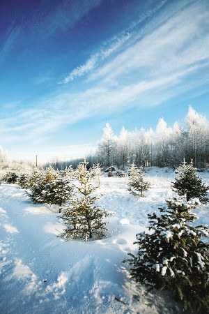 這個(gè)冬天 奔向零下30℃的呼倫貝爾