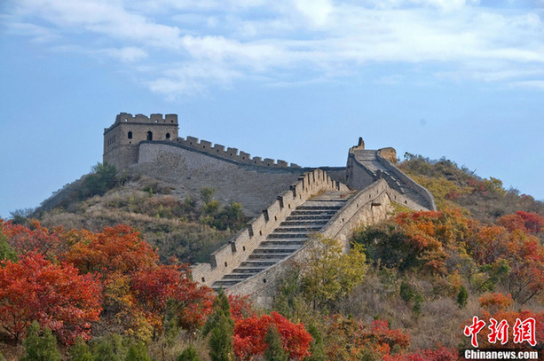 北京八達嶺紅葉進入觀賞佳期