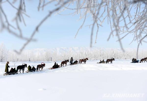 新疆冬季旅游的特殊交通工具--馬拉爬犁