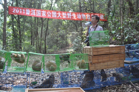 云南普洱：183只野生動物重回自然