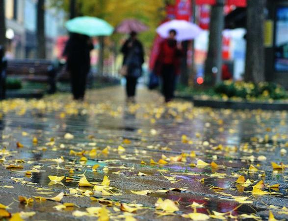 杭州迎大風降溫降雨天氣