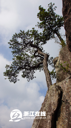 探秘“天然氧吧”龍泉山