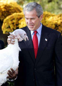 Bush pardons Thanksgiving turkey