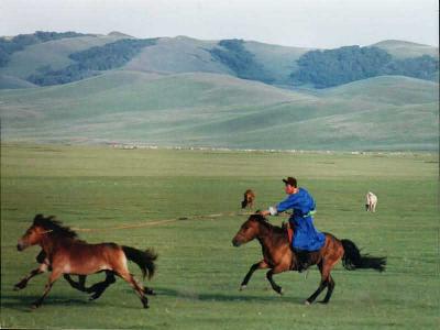 Mongolian