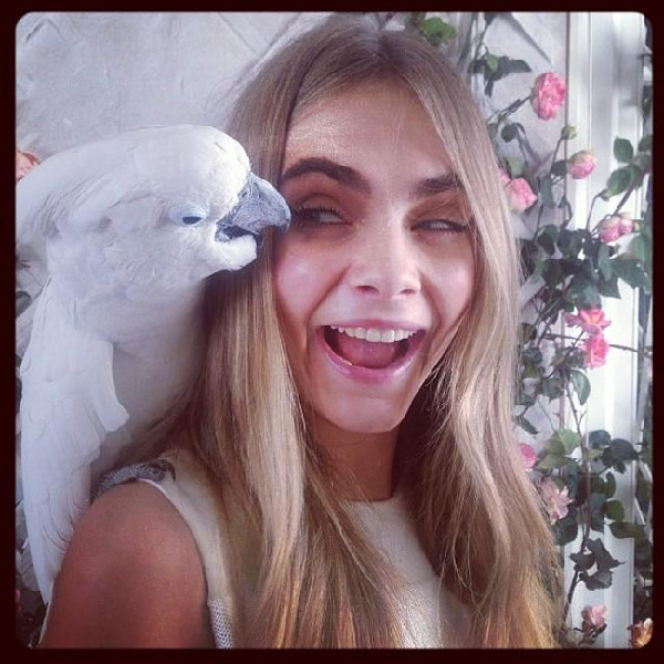 Cara Delevingne teases Mulberry tea party shoot