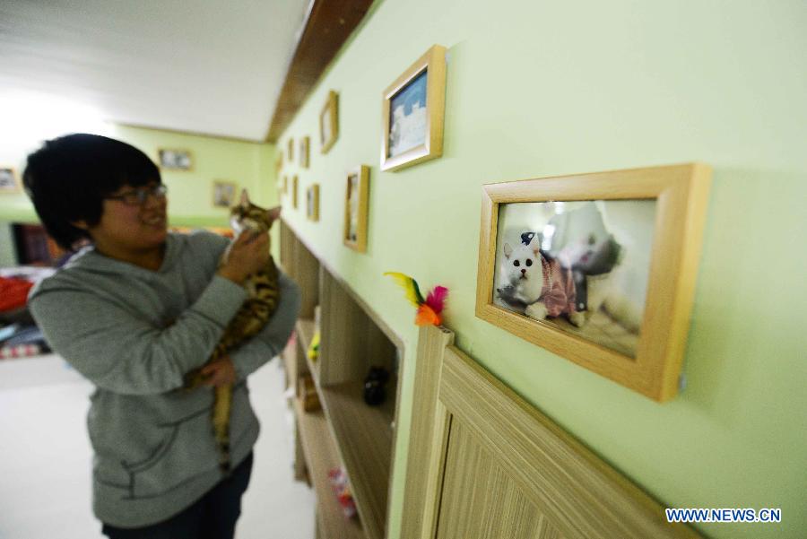 Cat-themed coffee bar opens in Harbin