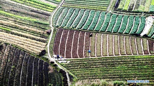 Farm work across China