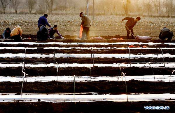 Farm work across China