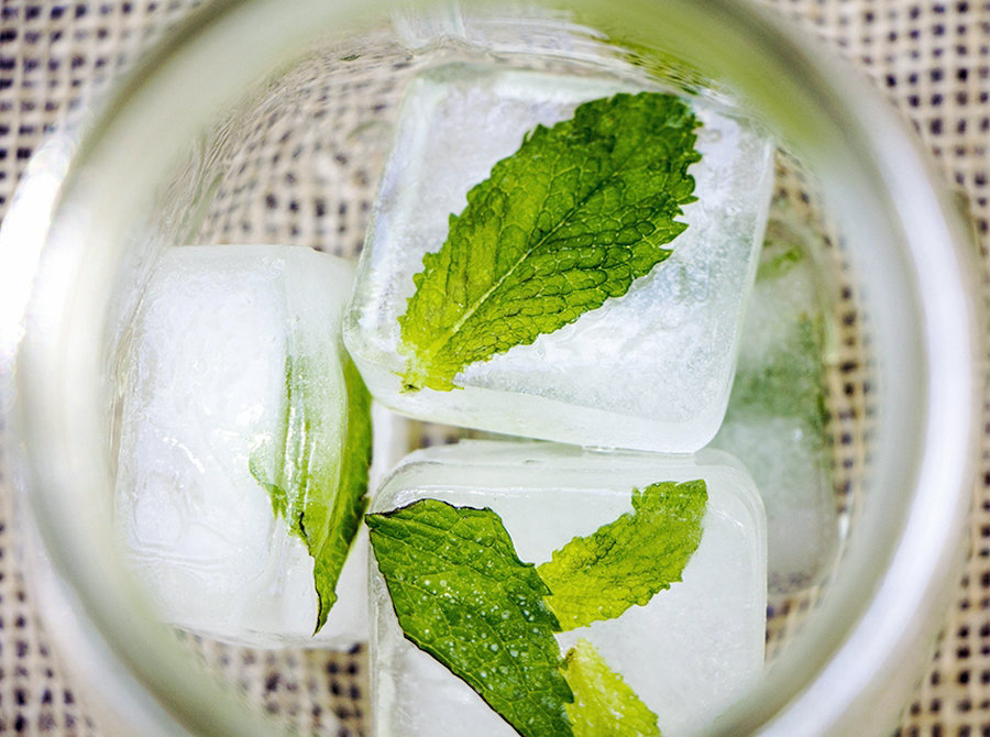 Stunning flower and fruit ice cools down scorching autumn