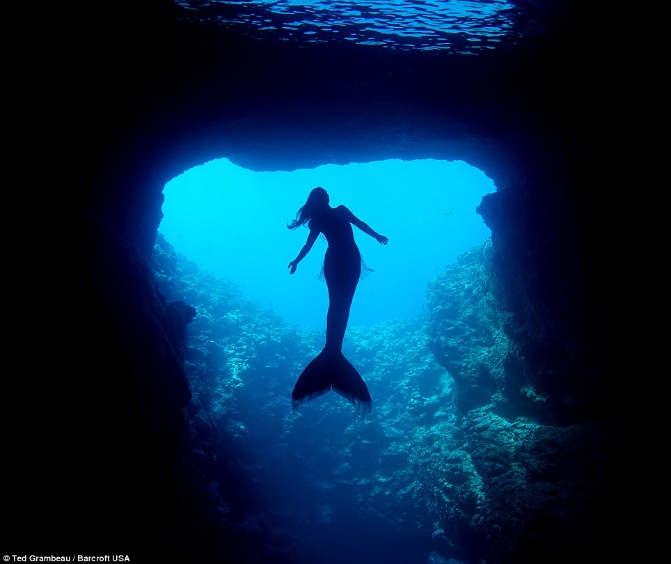 澳模特變身“美人魚” 與鯨共舞倡導保護海洋生物