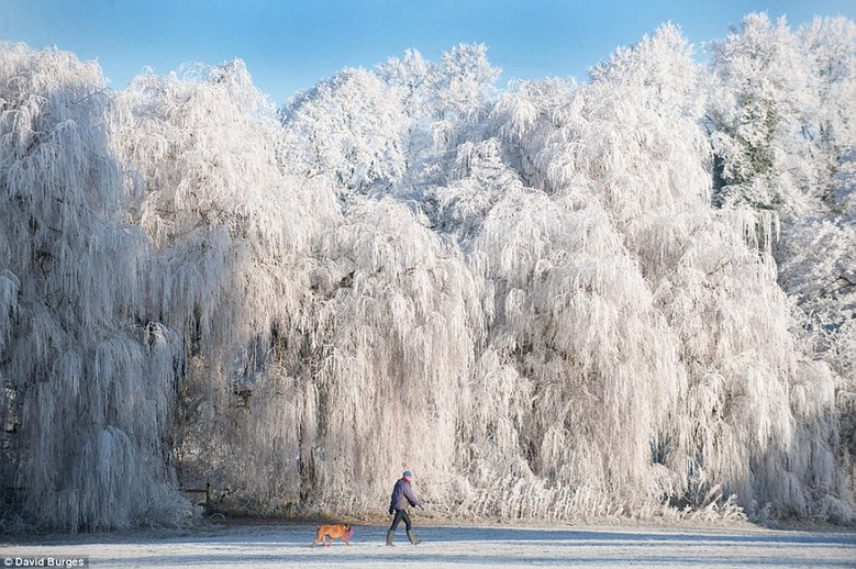 英國美麗雪景如天然圣誕賀卡