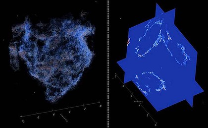 科學家稱發現世上最古老生物化石 距今34億年