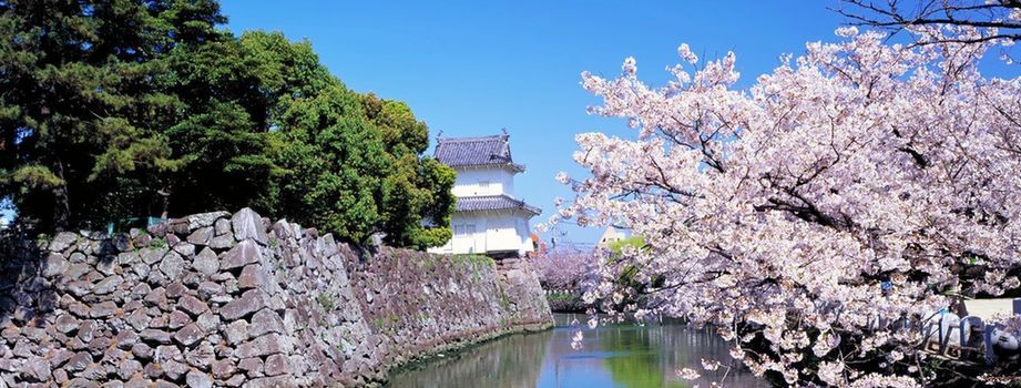 日本借大地震一周年感謝外國游客