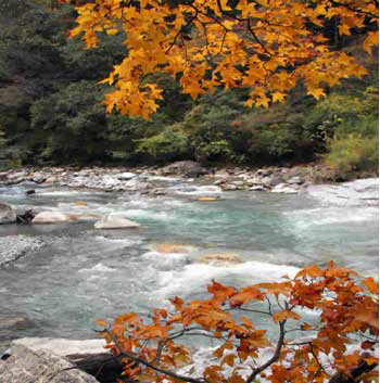 找一找哪里的紅葉最瘋狂？(圖)