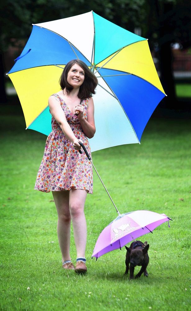 狗狗專用寵物傘在英國(guó)上市 雨天遛狗更舒心