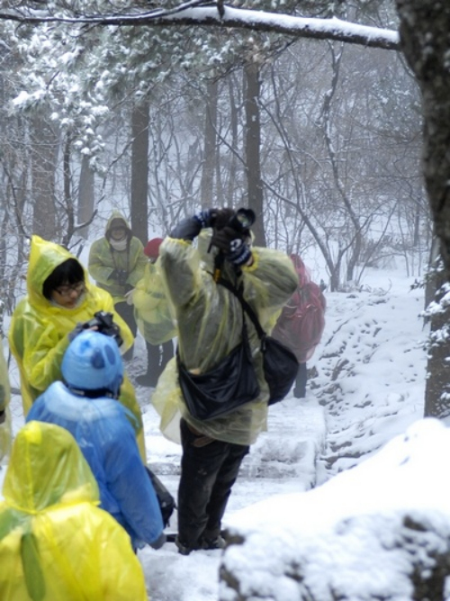 安徽黃山風(fēng)景區(qū)迎降入冬首場(chǎng)盛雪 驚羨拍雪客