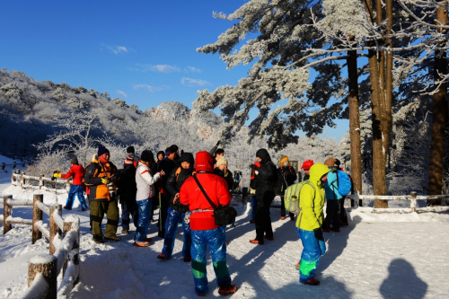 黃山風景區(qū)開展主題酬賓周活動 本地市民免費游