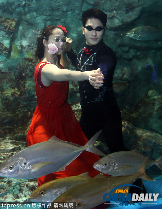 韓國首爾水族館推出新節目 水中探戈舞姿優雅（組圖）