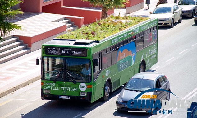 西班牙“車頂花園”風景獨好 為城市帶來新鮮空氣（組圖）