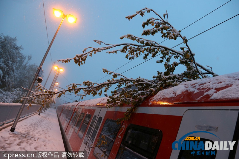 德國巴伐利亞大雪成災 鐵路交通陷于癱瘓（圖）