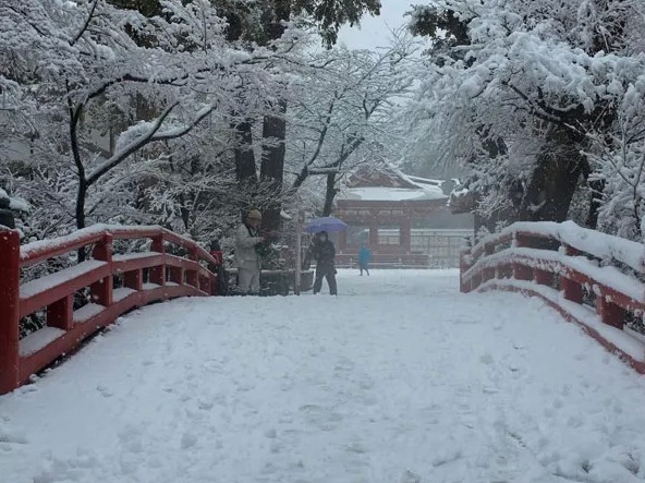 安倍不顧日本雪災與支持者聚餐 引民主黨高層猛批