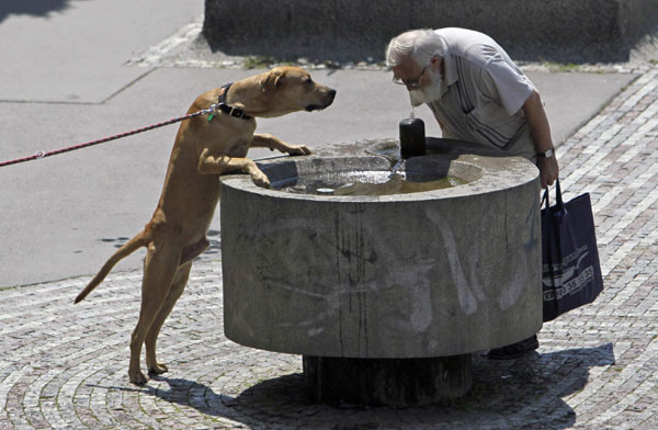 Animals cool off in heat wave