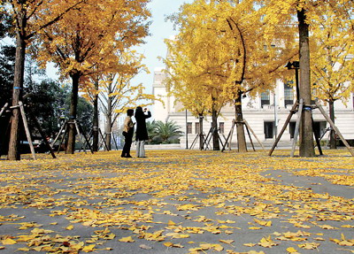 Shanghai painted in glorious colors