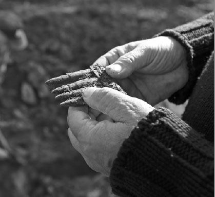 WWI shells a part of life in Belgium