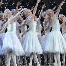 Snowflakes and sugarplum firies? Yep, it's the season