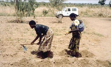 Securing rights for women farmers