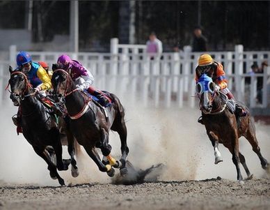 跟馬相關的體育運動