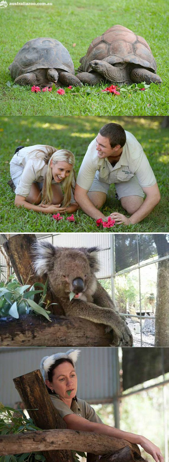 腦洞大開！澳大利亞飼養員模仿動物大賽