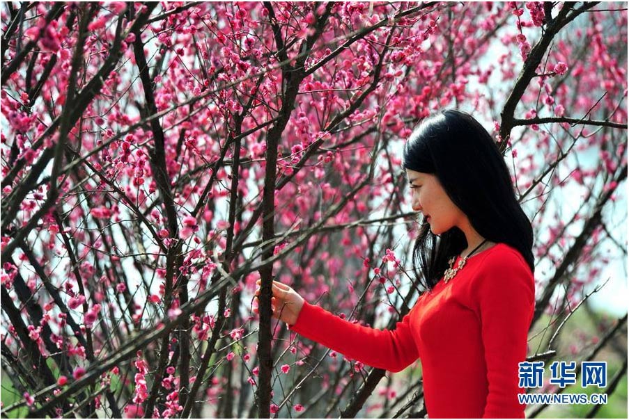 又到一年踏青時 花間春色惹人醉（組圖）