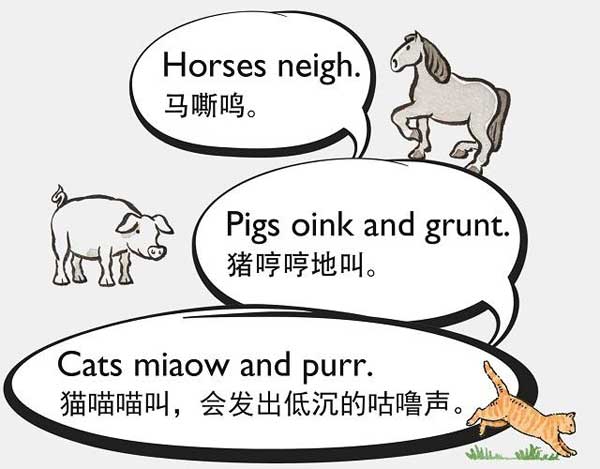 自然界中有各種聲音 如何用英語來描述動物的叫聲？