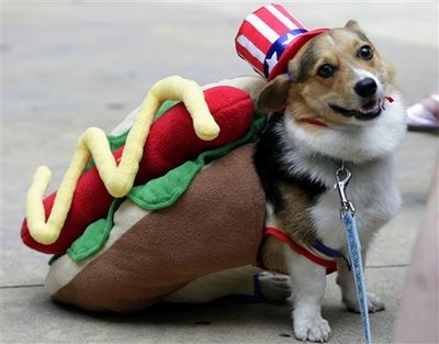 Halloween dog costume contest