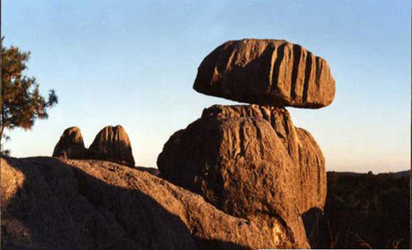 Stone Forest