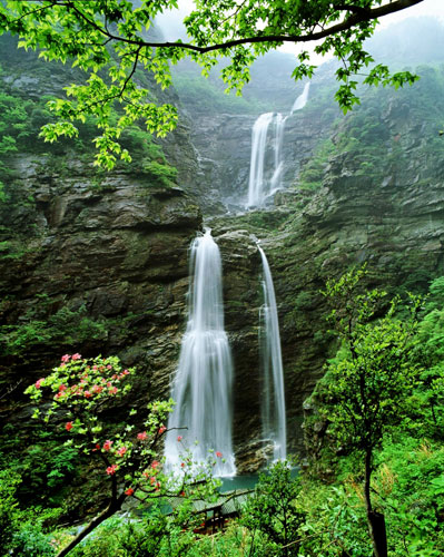 The idyllic forests of Lushan Mountain