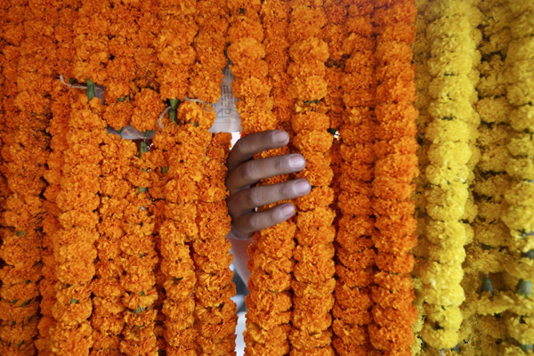 Tihar Festival held in Nepal