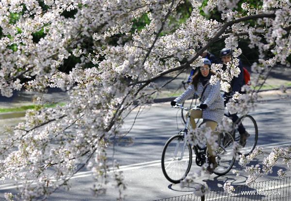 Northern hemisphere embraces flourishing spring flowers