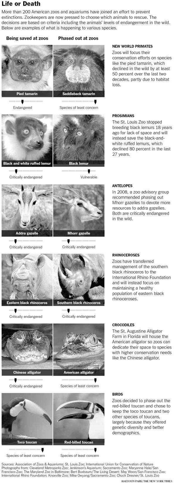 For zoos, choices on life and death