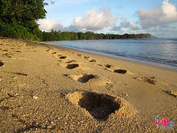 Romantic trip to Seychelles