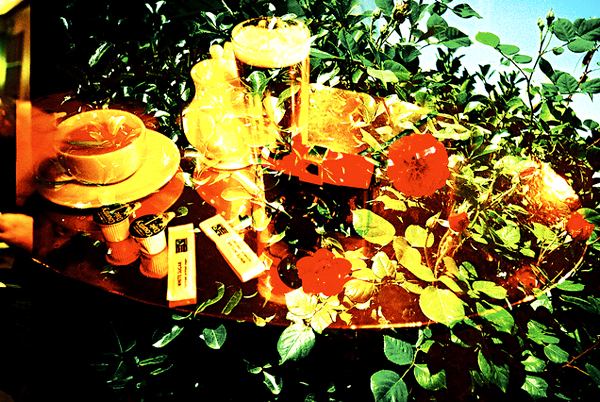 Sandy Sze's lomography