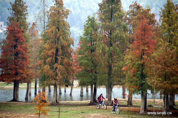 Beautiful scenery of Huangshan Mountain in early winter