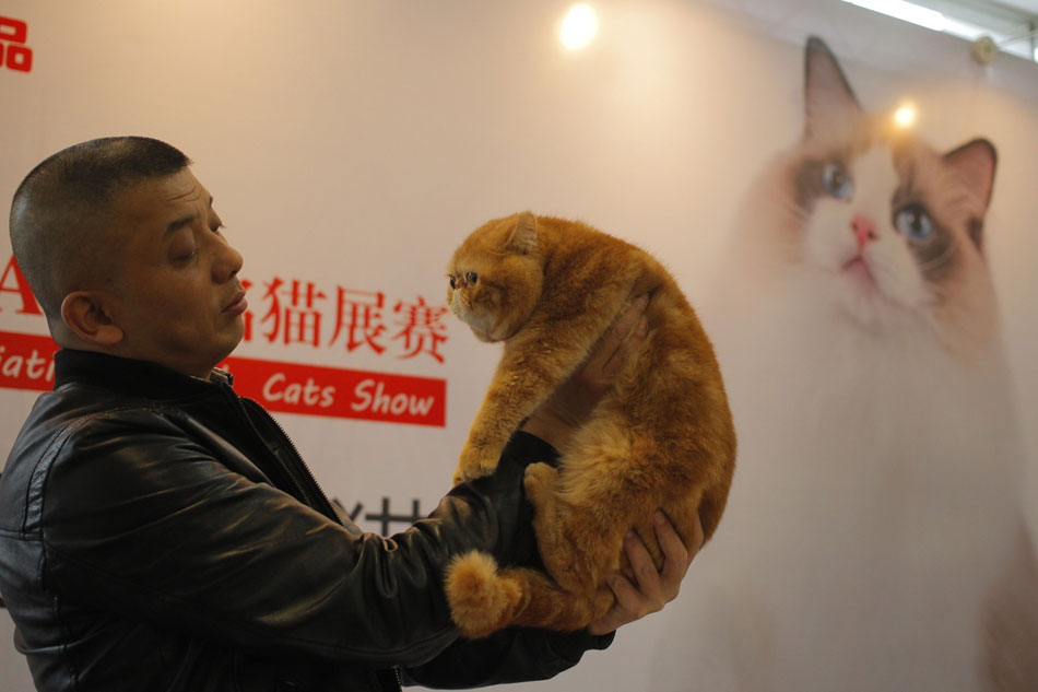 Shanghai Pet Fair