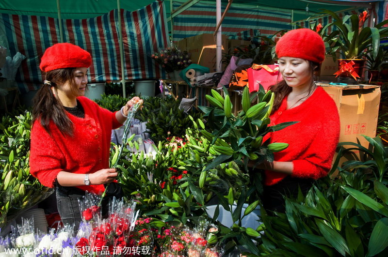 Shenzhen Spring Festival flower fair opens